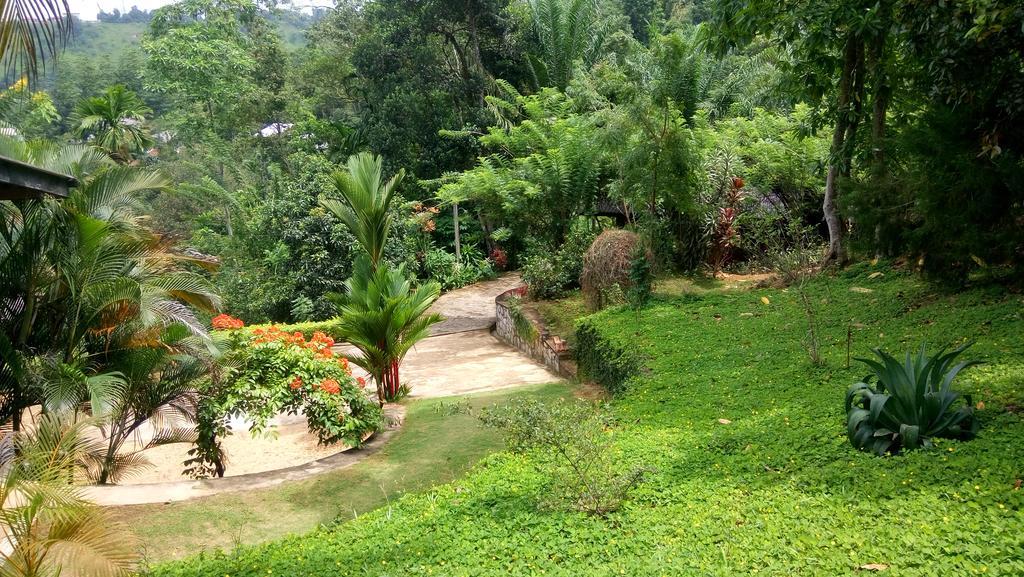 Apartament Tea Leaf Retreat Kandy Zewnętrze zdjęcie