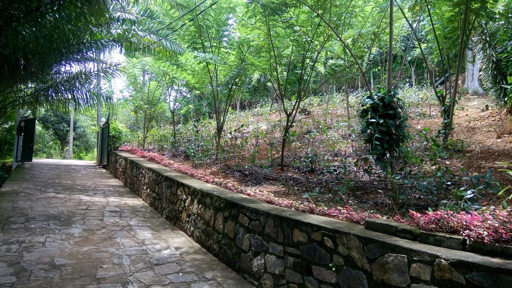 Apartament Tea Leaf Retreat Kandy Zewnętrze zdjęcie