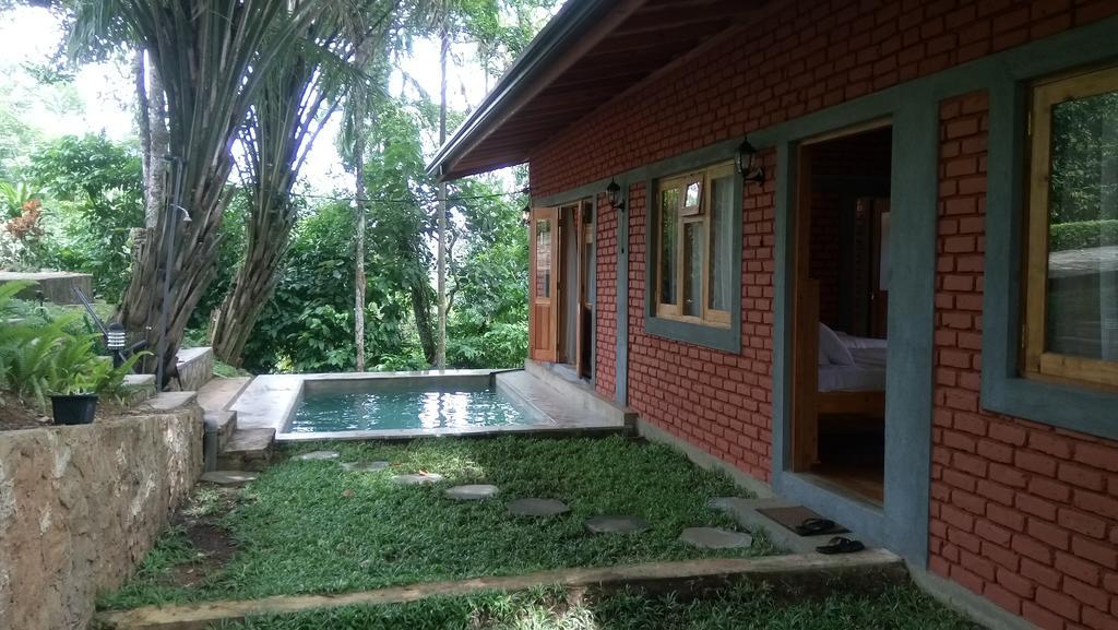 Apartament Tea Leaf Retreat Kandy Zewnętrze zdjęcie