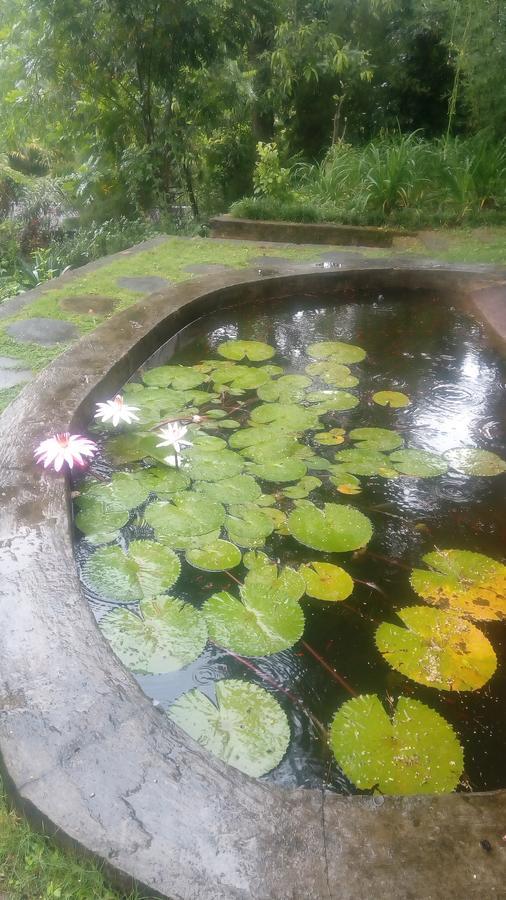 Apartament Tea Leaf Retreat Kandy Zewnętrze zdjęcie