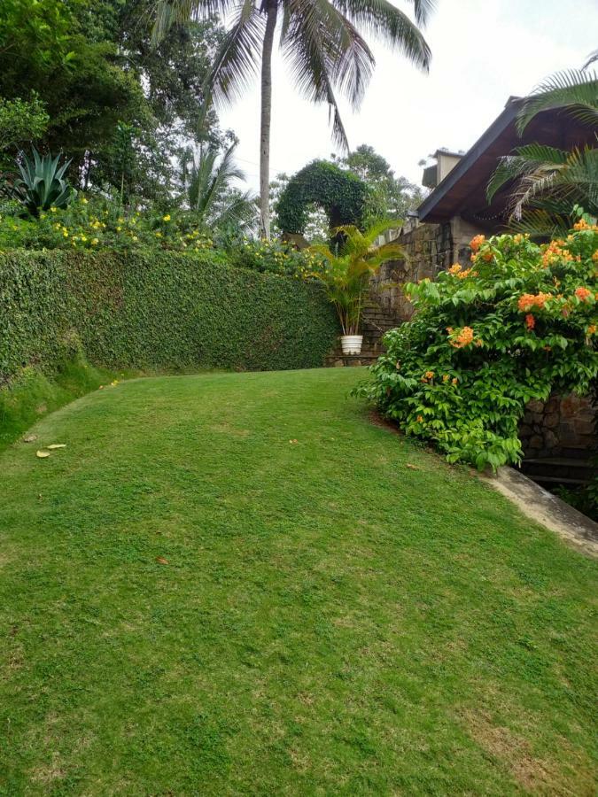 Apartament Tea Leaf Retreat Kandy Zewnętrze zdjęcie